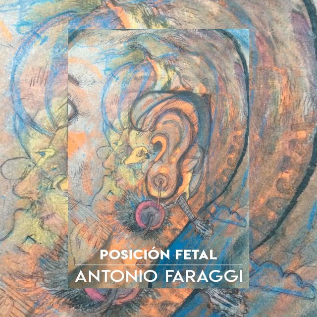 Posición Fetal