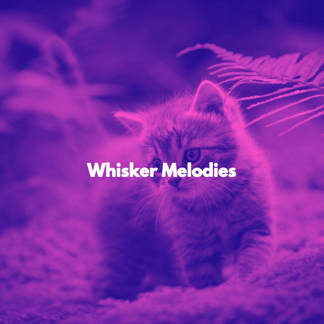 Whisker Melodies