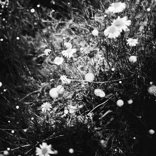 to northern heaven its shining circuit curved