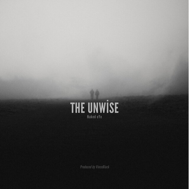 The Unwise