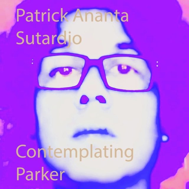 Contemplating Parker