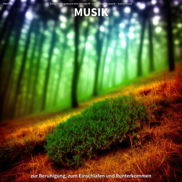 #001 Musik zur Beruhigung, zum Einschlafen und Runterkommen