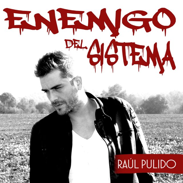 Enemigo del Sistema