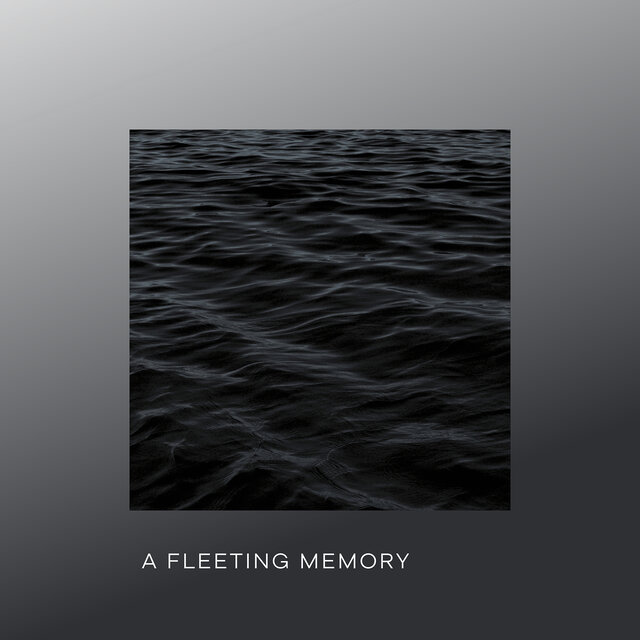 A Fleeting Memory