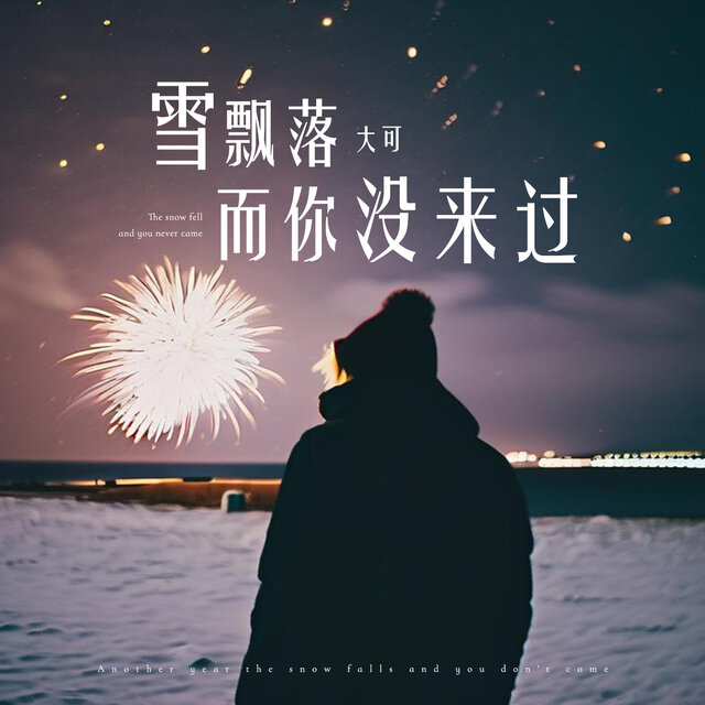 雪飘落而你没来过