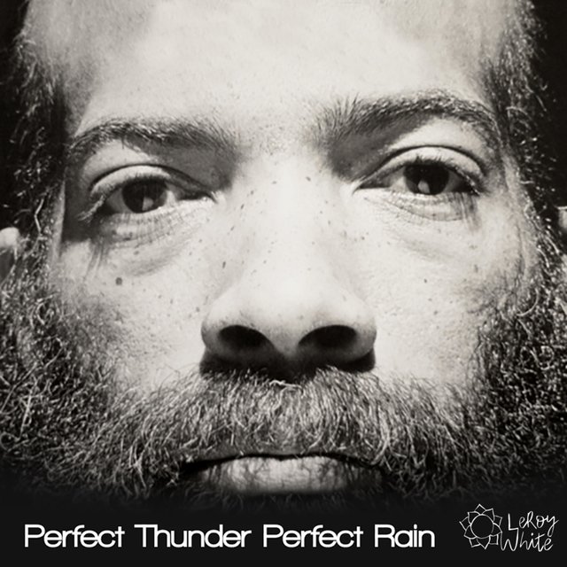 Perfect Thunder Perfect Rain