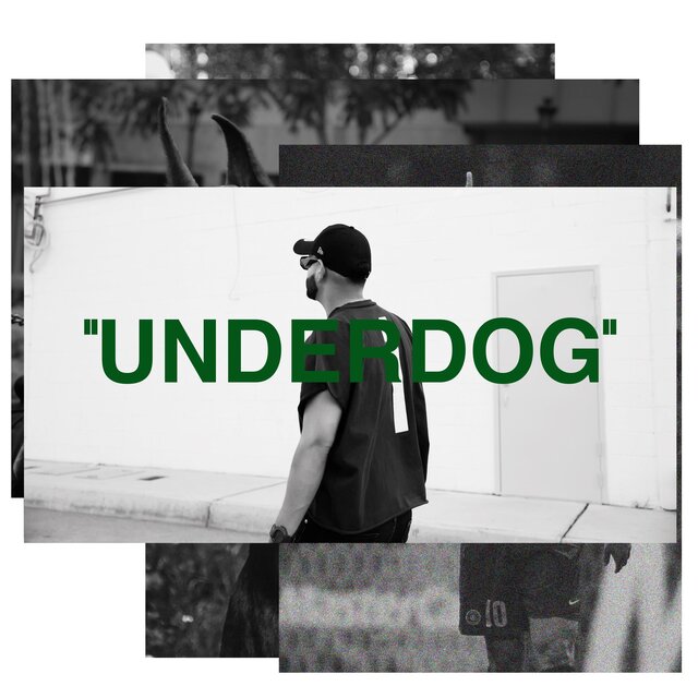 UNDERDOG