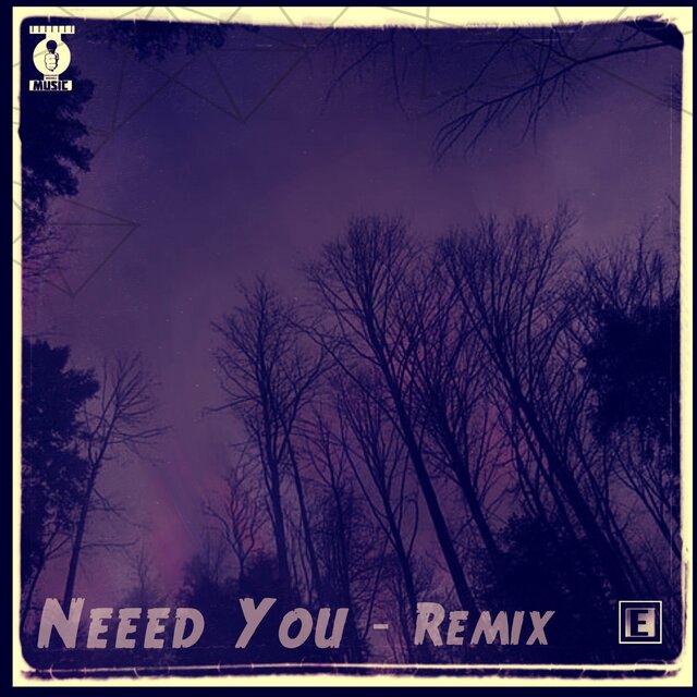 Neeed You (Remix)