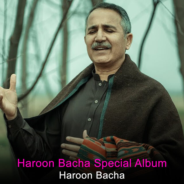 Haroon Bacha Special Album
