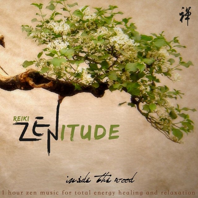 Reiki Zenitude: Inside the Wood (1hour Zen Music for Total Energy Healing and Relaxation)