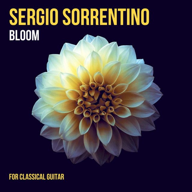 Bloom