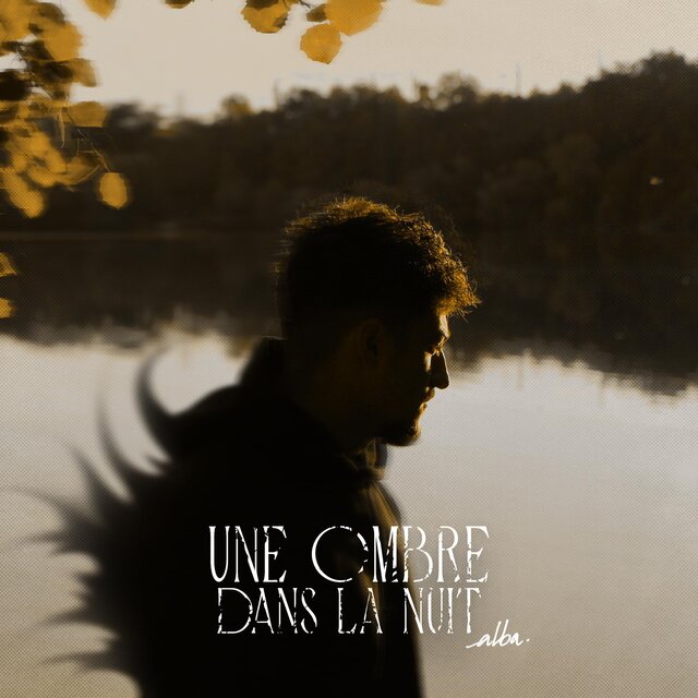 Une ombre dans la nuit