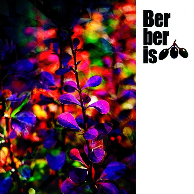 Genetical EP