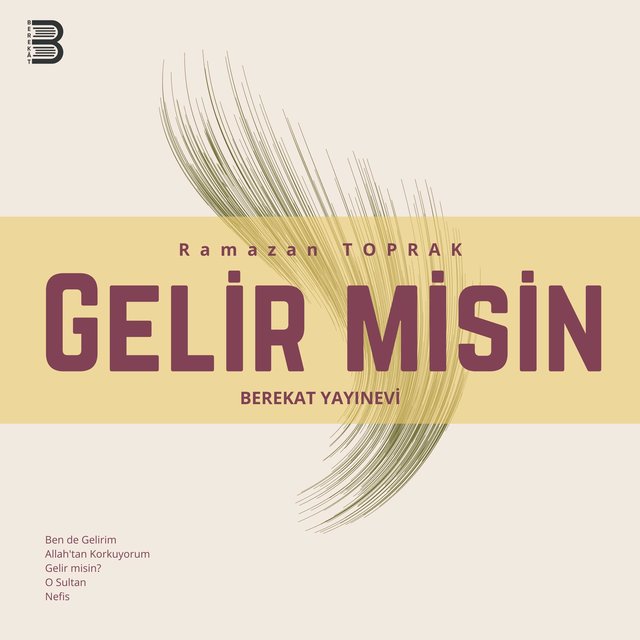 Gelir misin