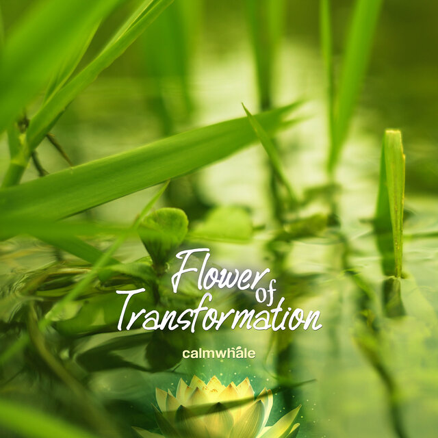 Flower of Transformation