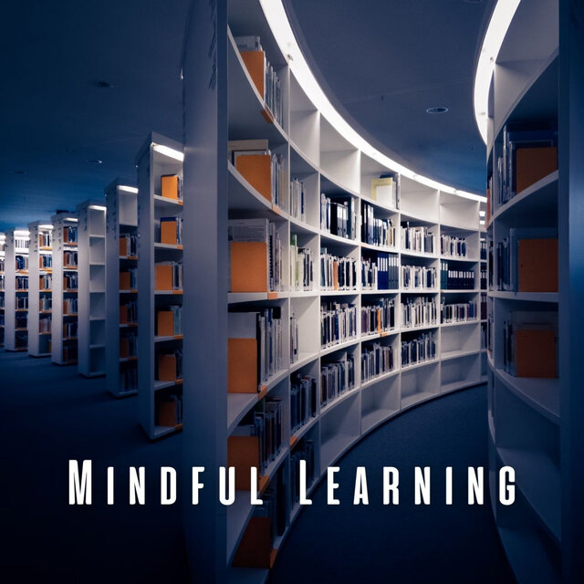 Mindful Learning: White Noise for Concentrated Study