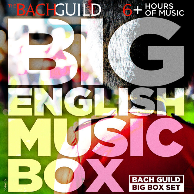 Big English Music Box