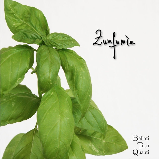 Zunfunìe