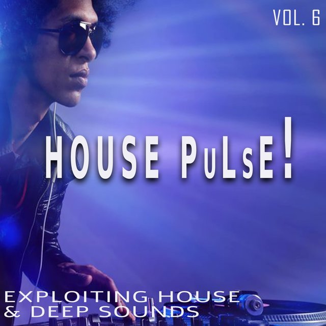House Pulse!, Vol. 6