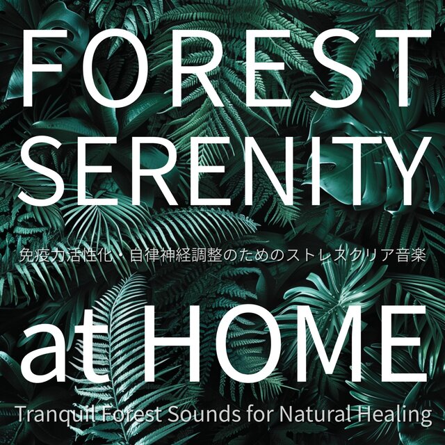 FOREST SERENITY at HOME ~ Tranquil Forest Sounds for Natural Healing
