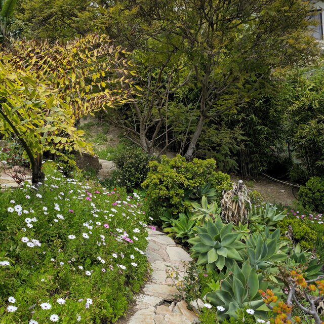 Path #1