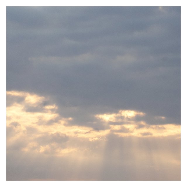 Light