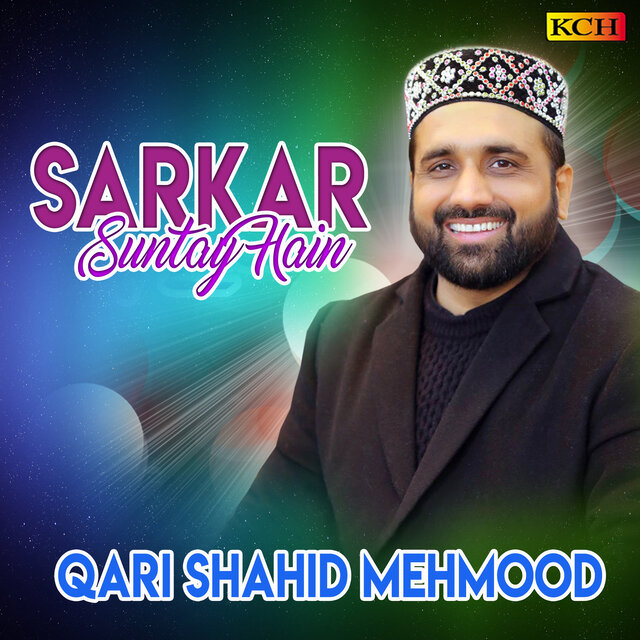 Sarkar Sunty Hain