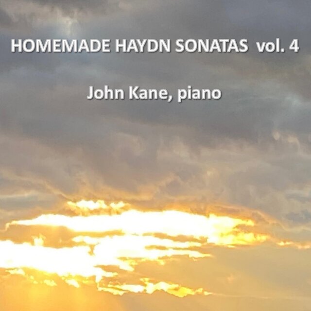 Homemade Haydn Sonatas, Vol. 4