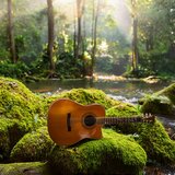 Dusk Horizon Guitar