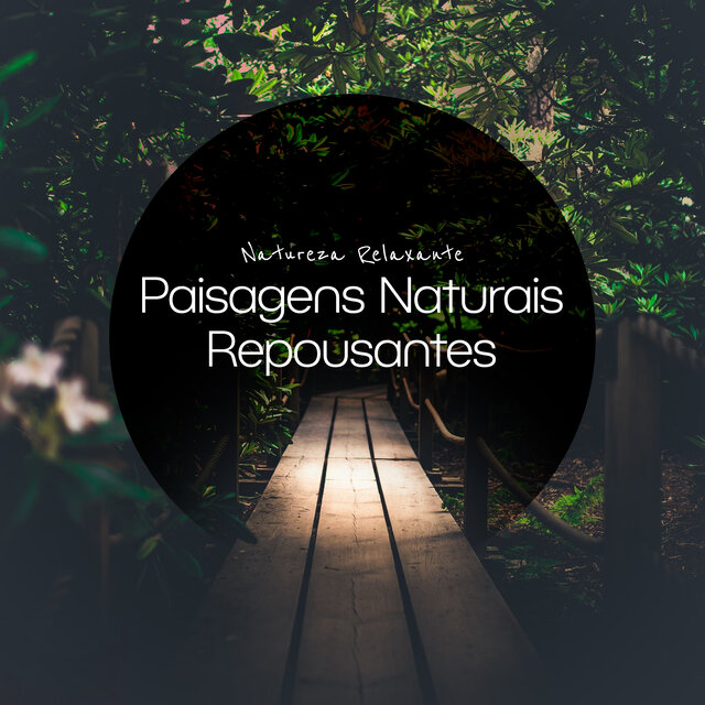 Paisagens Naturais Repousantes