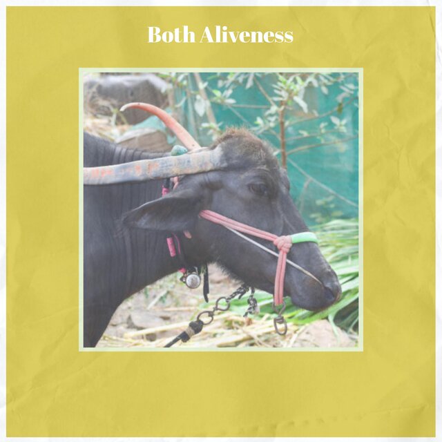 Both Aliveness