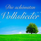 Hoch auf dem gelben Wagen