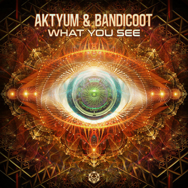 What You See