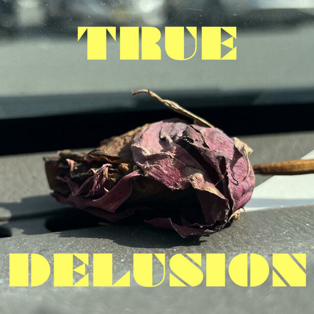 True Delusion