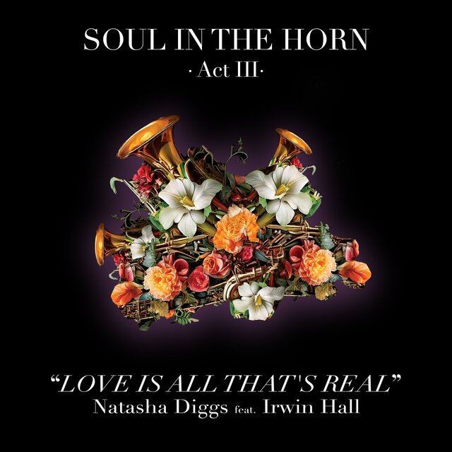 love-is-all-that-s-real-by-soul-in-the-horn-natasha-diggs-on-tidal