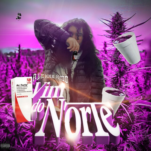 Vim Do Norte (Remix)