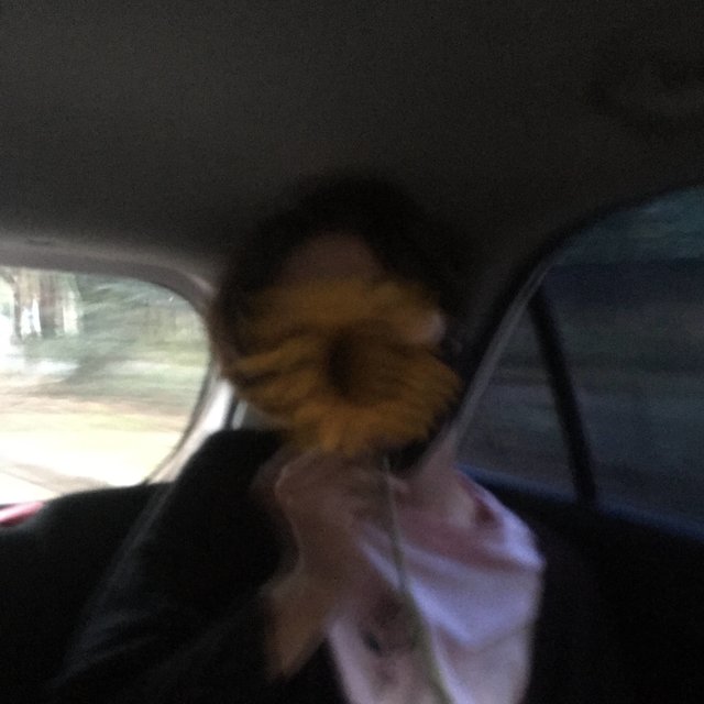 las flores y yo