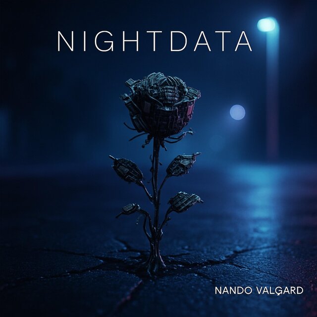 Nightdata