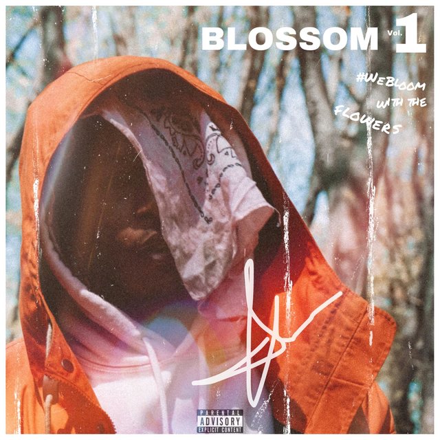 Blossom Volume 1 #WeBloomWithTheFlowers