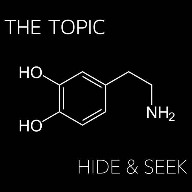 Hide & Seek