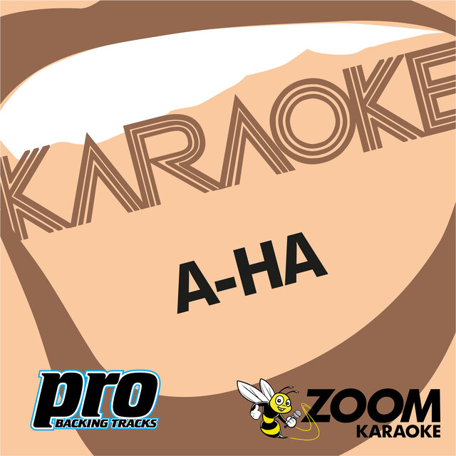Zoom Karaoke - A-ha Collection (Karaoke Versions)