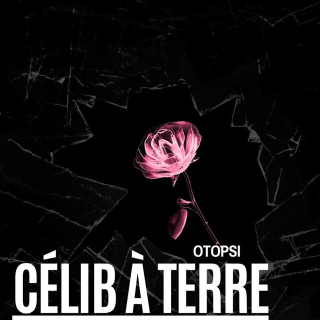 Célib à terre