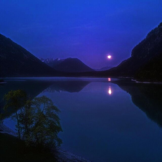 forgotten by the moon