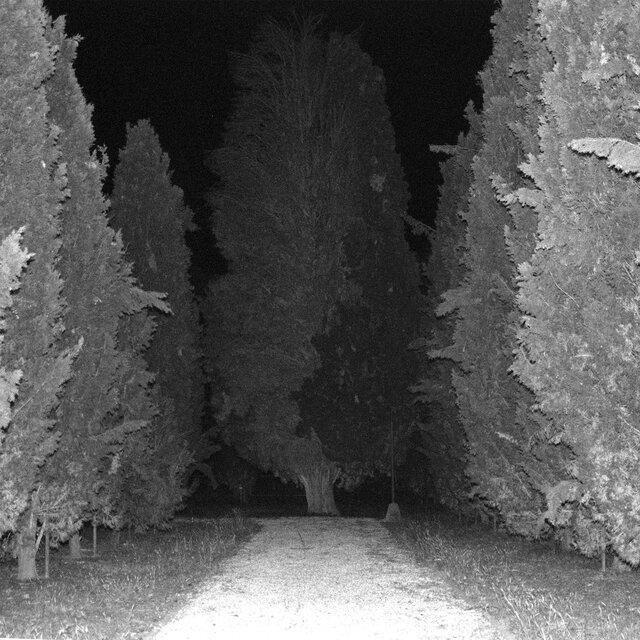 SPLIT