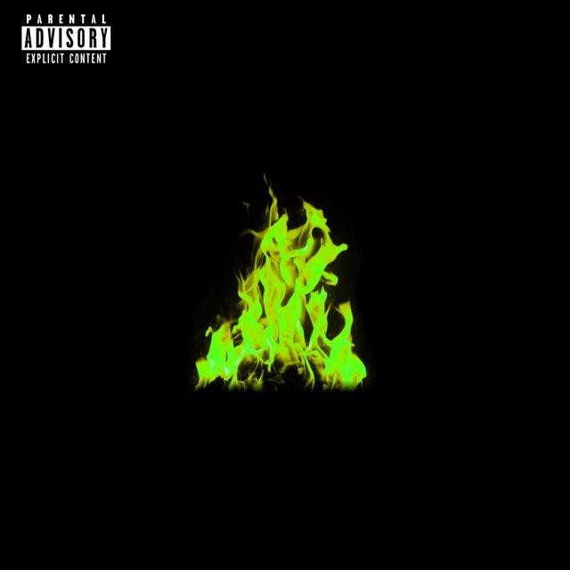 LIVINGFIRE 10