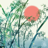 Bamboo