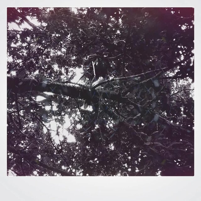 The One (EP)