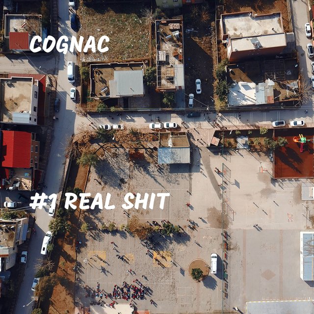 #1 Real Shit