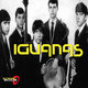 Cover art for album Iguanas by The Iguanas