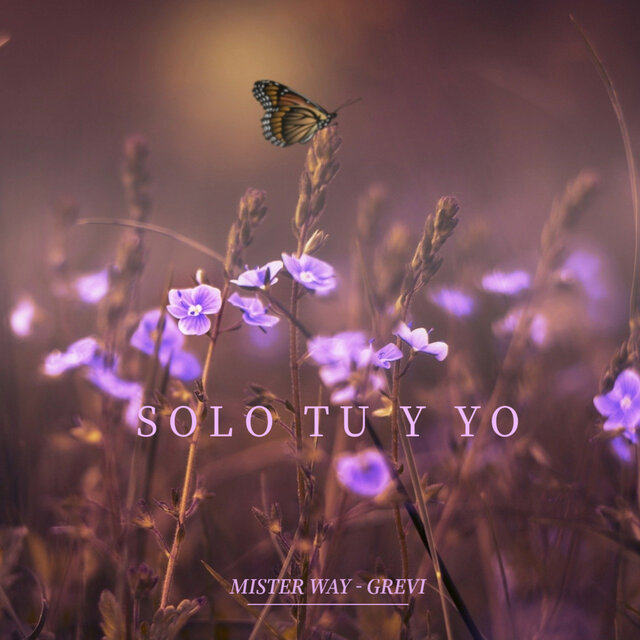 Solo Tu y Yo